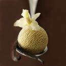 French Vanilla 30ml